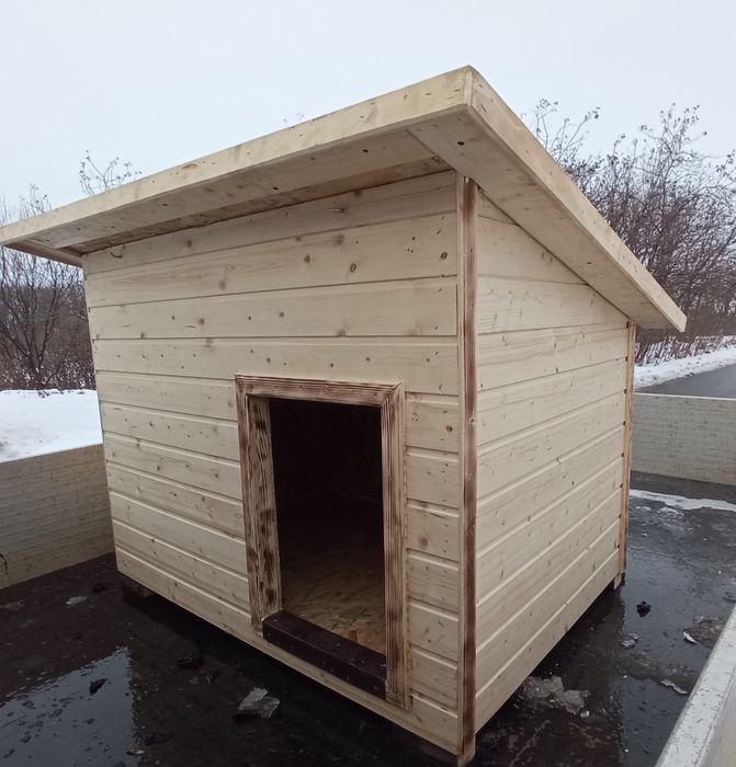 Terase din lemn masiv