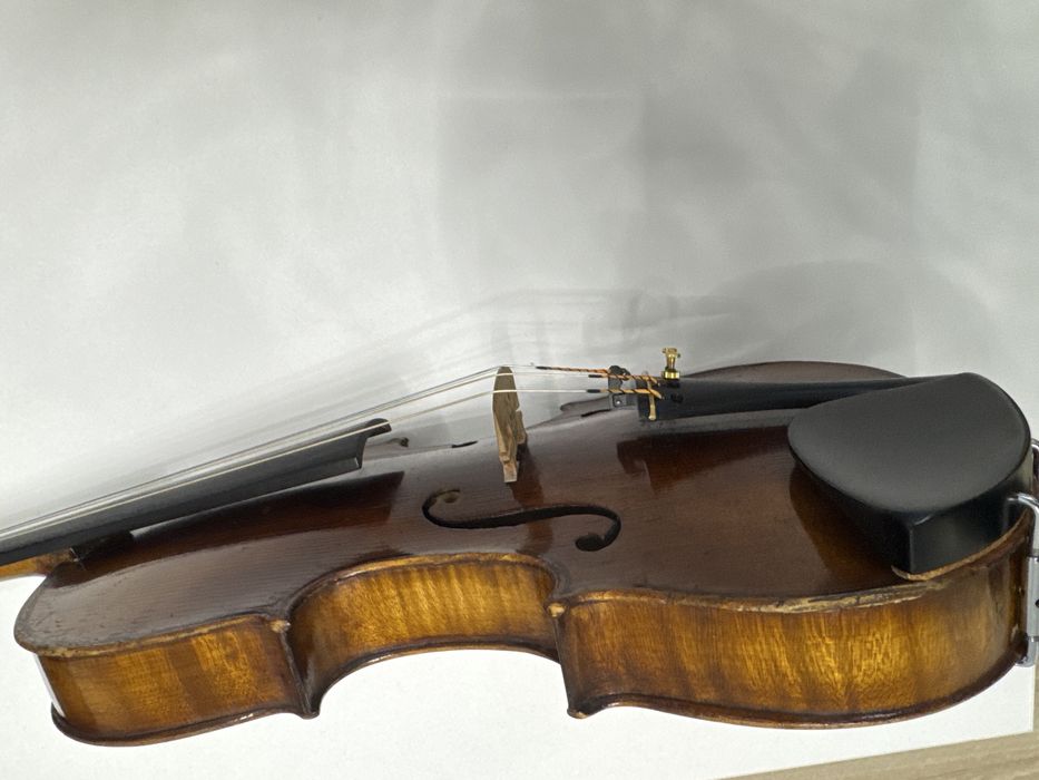 Vand vioara 4/4 intreaga