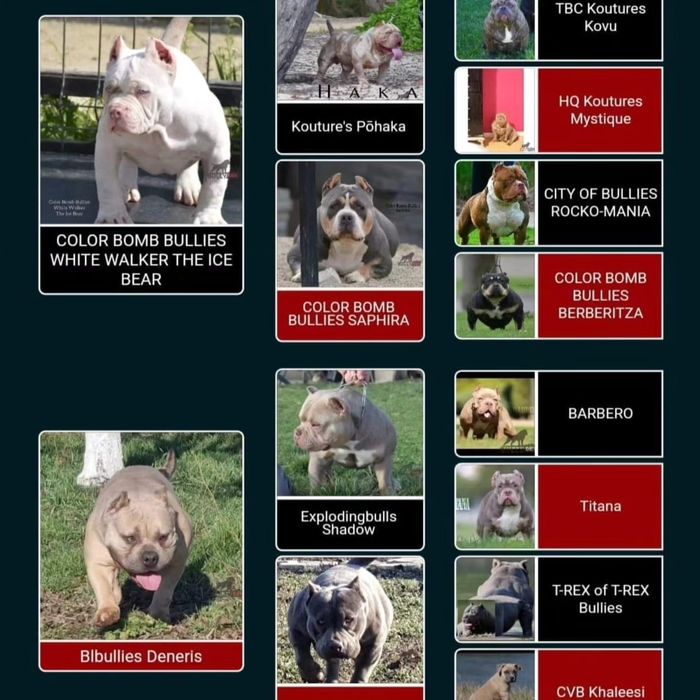 Samsung galazy Z fold 4 1tb