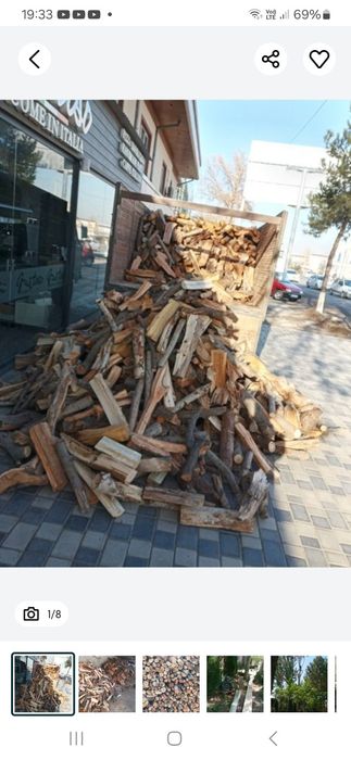 Утин сотилади  мевали ва мевасиз копланган холда хам бор