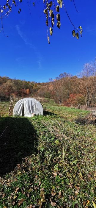 Casă de vânzare comuna Bârzava