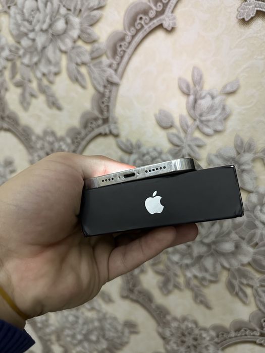 12 promax 256gb rodnoy