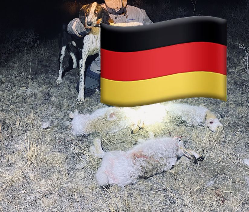 Құмай Тазы,ОБМЕН жаксы ҚАНШЫҚҚА