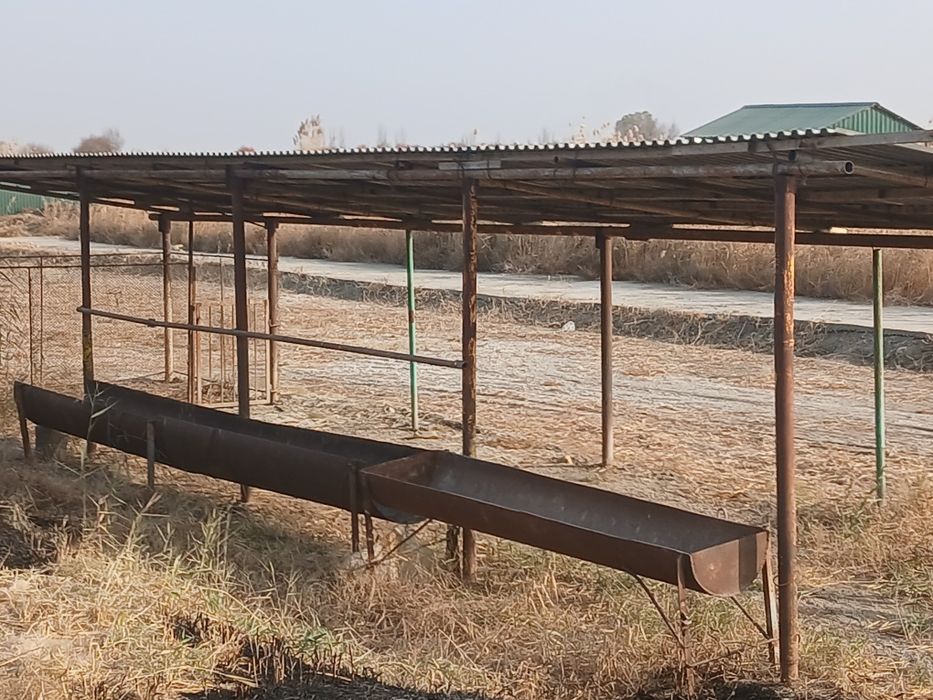 Gisht zavodi sotiladi