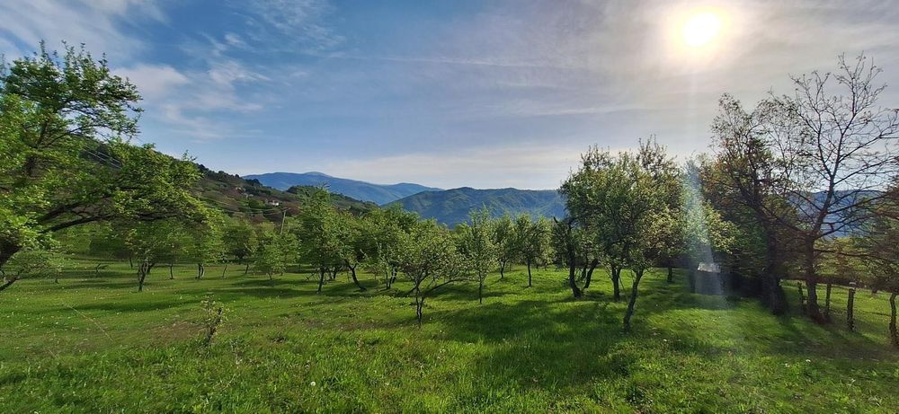Teren extravilan de vânzare, Com. Nucșoara, Jud. Argeș, 10€/mp
