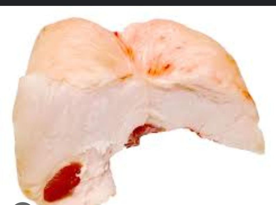 Продам курдюк свежий