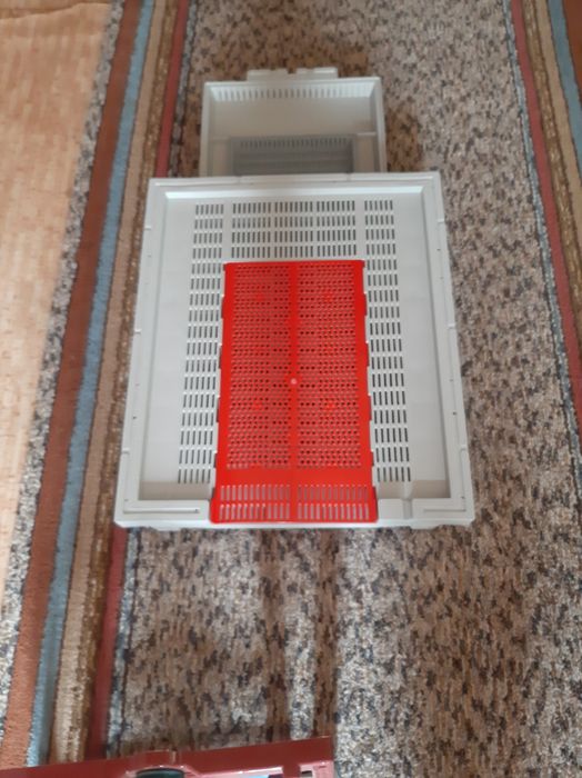 Пластмасово дъно за кошер.За добиване на прашец.Има и пласмасови капац