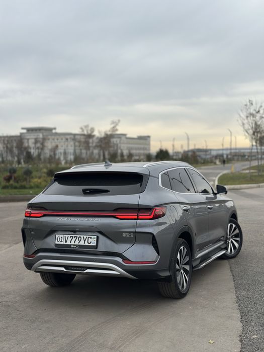 BYD Champion 150 Km Gbrid 2024