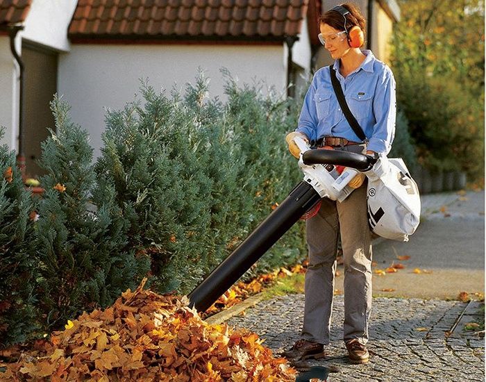 Прокат Инструментов Аренда Инструментов Воздуходувка Воздуходув 24.7