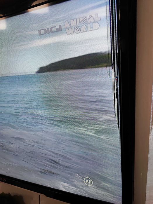 Tv SMART LED Wellington  80cm  - ecran  defect