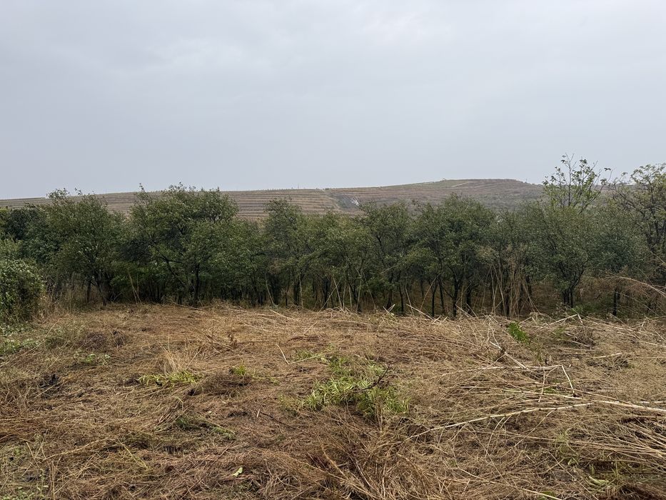 Vand Teren ,2000mp, Com.Bucov,sat  Chitorani