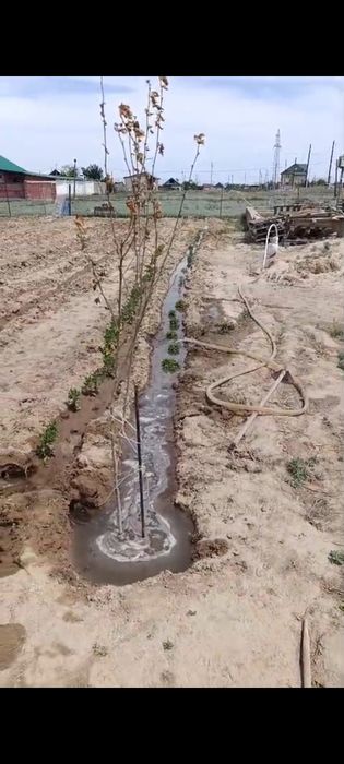 Земля 12 соток загороженный
