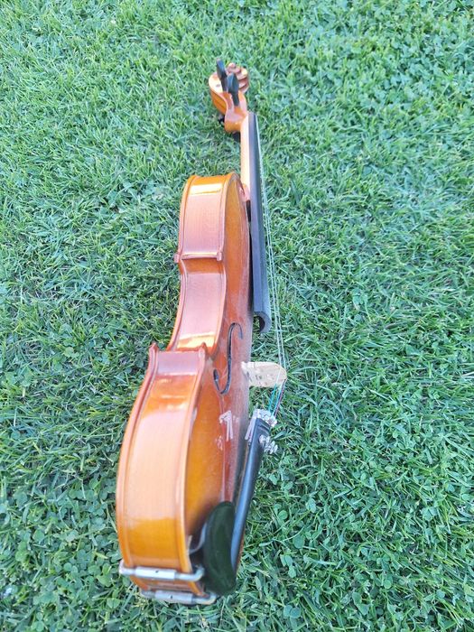Vioara Hora v100
