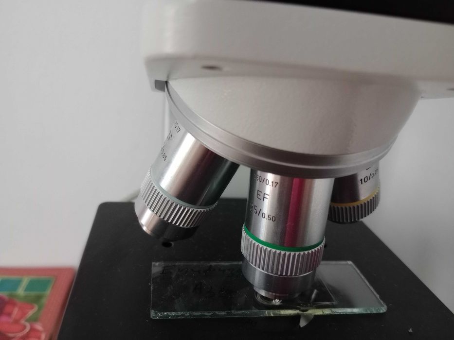 Микроскоп Leitz Laborlux 11
