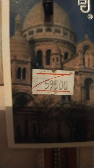 Бежевый зимний пуховик