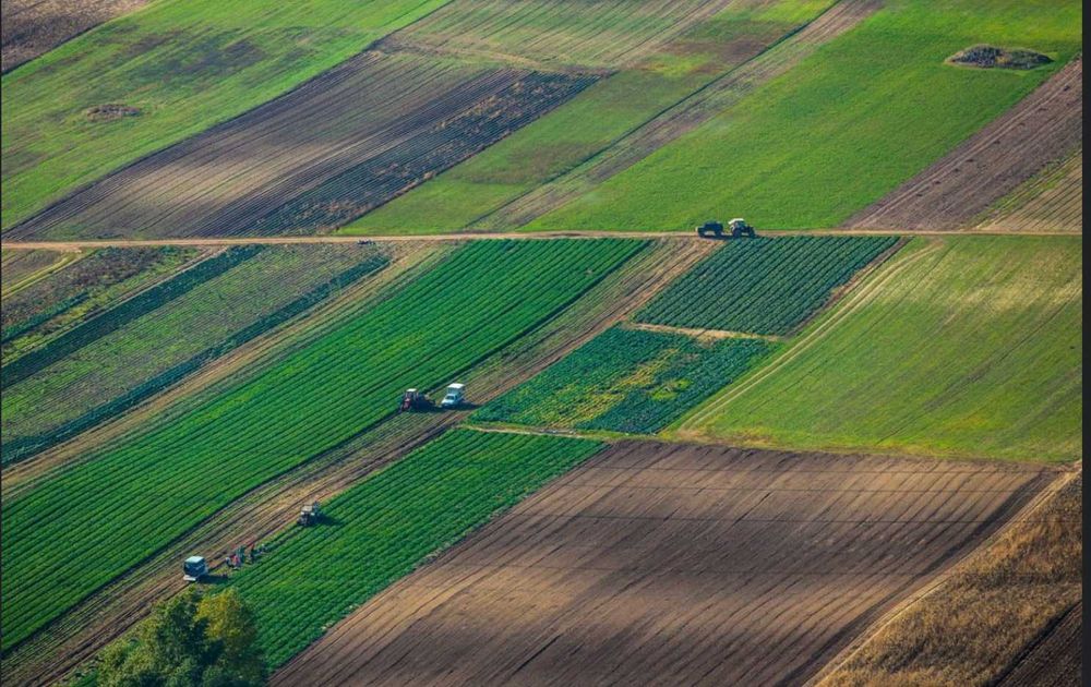 Teren agricol 6,2 ha in comuna Fantanele -Jud Iasi