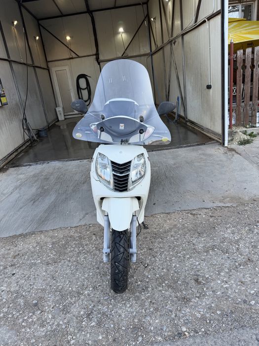 Malaguti password 250cc