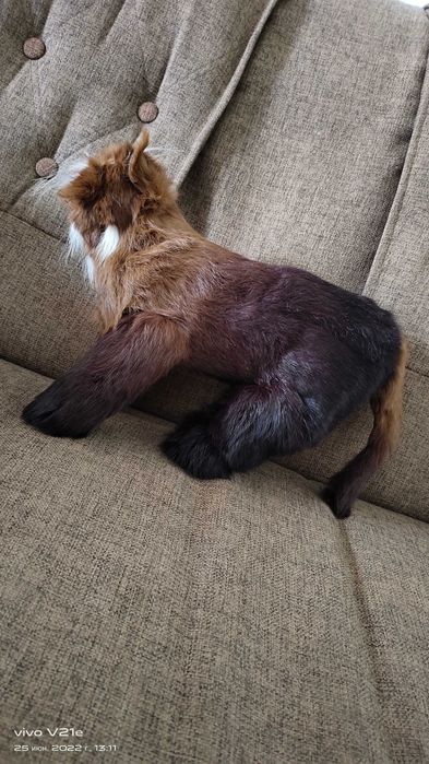 Yumshoq o'yinchoqlar