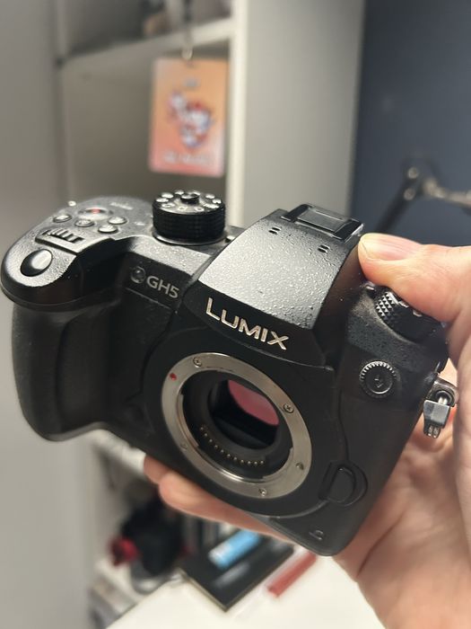 Panasonic Lumix GH5 + cage SmallRig