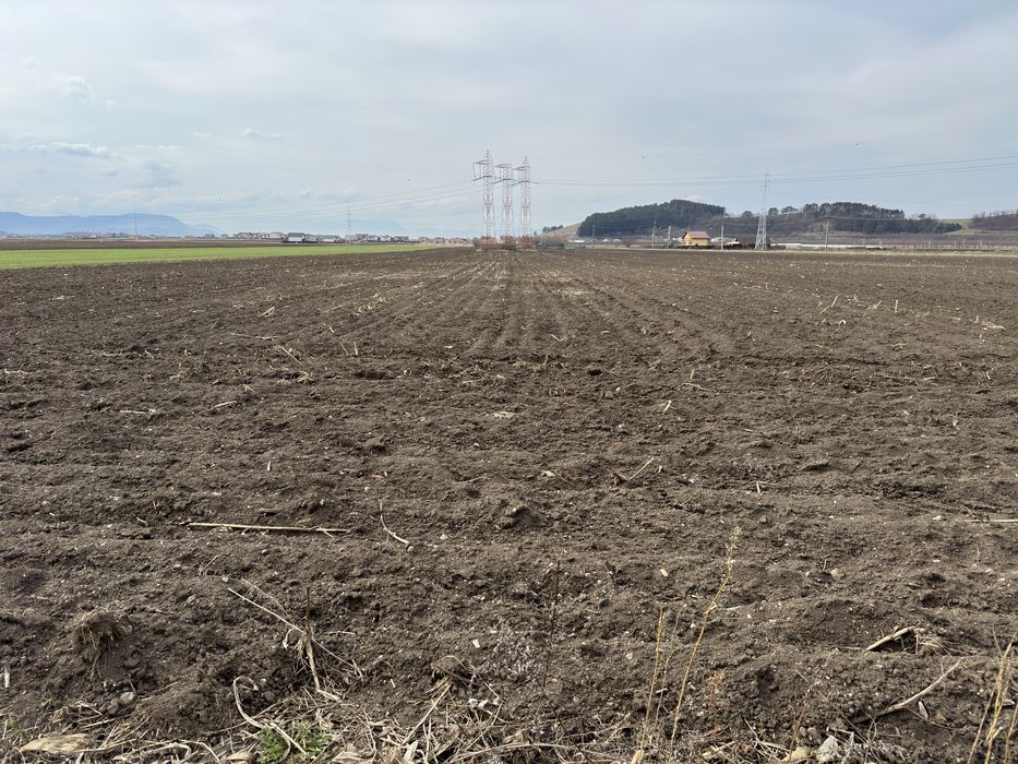 Teren extravilan 5000mp Harman, Brasov