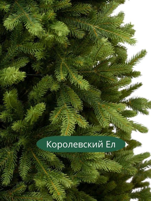 Yangi yil premium archasi