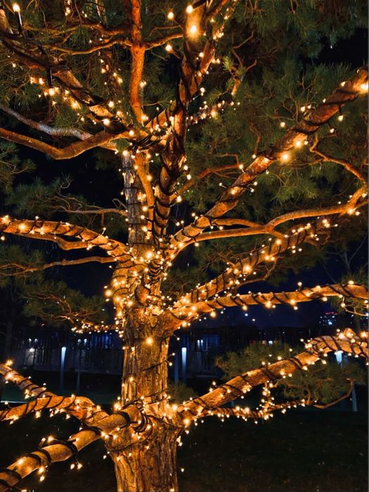 Новогодние уличные гирлянды оптовые цены