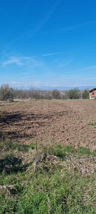 УПИ в Чешнегирово