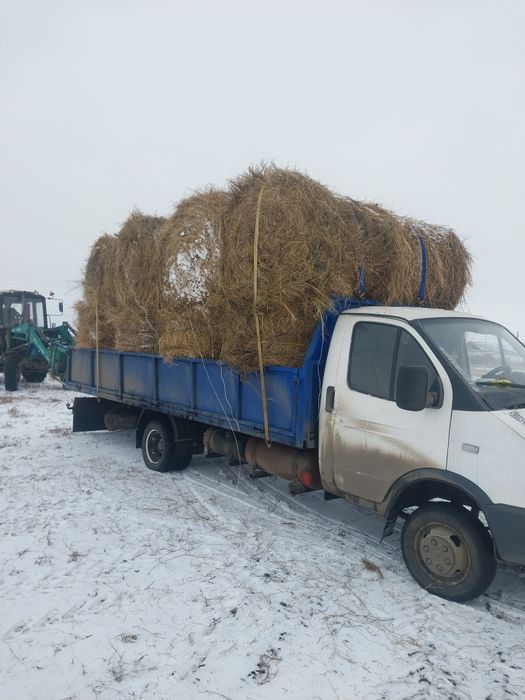 Продам сено в рулонах и тюках
