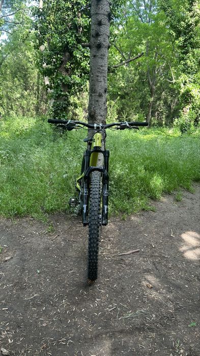 Yt capra 2025 custom