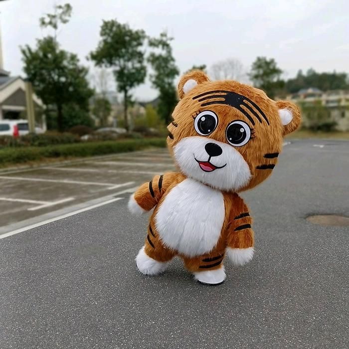 Ayiqlar optim narxda айиклар