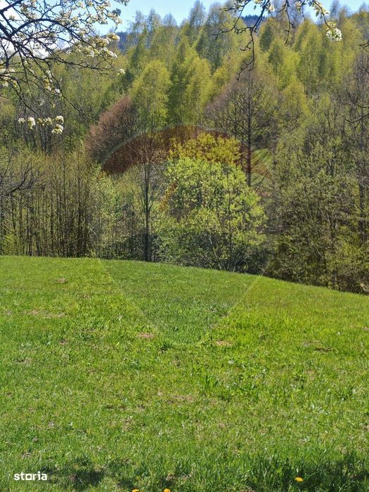 Ocazie! Teren 9735 mp Bran- Predelut / Strada Pe Tarina nr. 70A