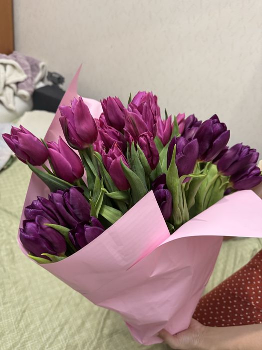 тюлпаны цветы пионовидые