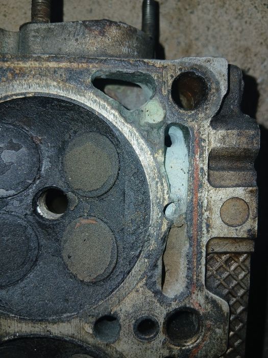 Галовка приора десатка