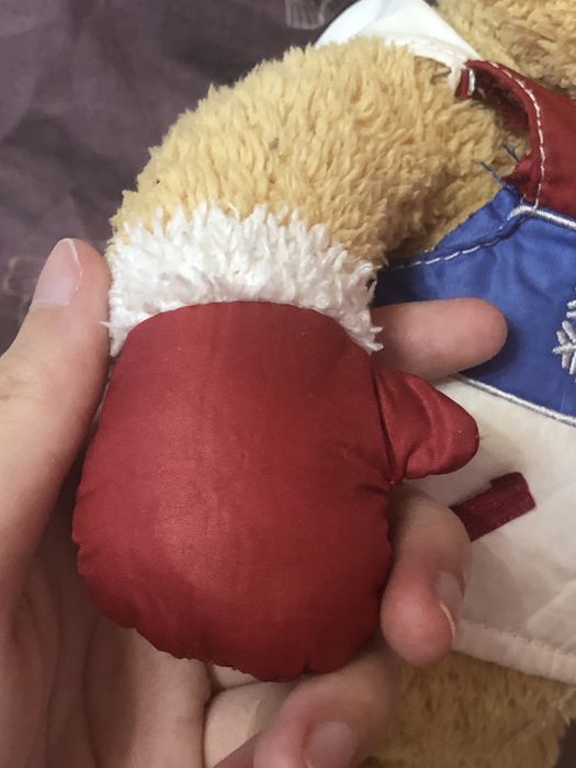 Мягкая игрушка Тедди