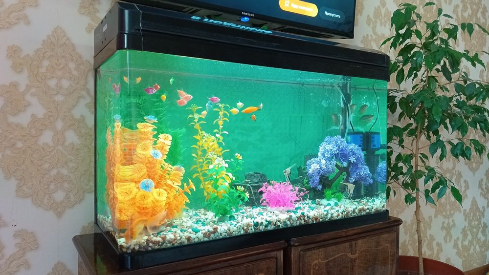 Аквариум с рыбками