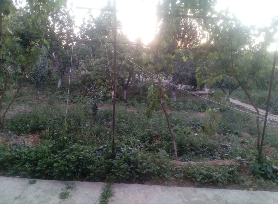 Тошкент вилояти, Ўрта Чирчиқ тумани, Бешбой МФЙ 20 сотих ҳовли, 2 қ