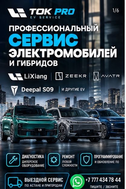 УСНУЛ Lixiang? Решаем/Полная диагностика/Мастер Аккаунт/Интернет