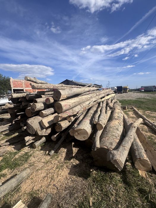 FAG vand lemn de foc