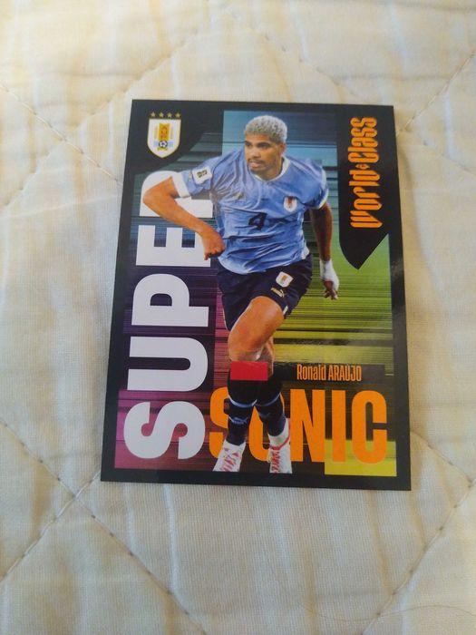 Stickere fotbal  Word Class 2024