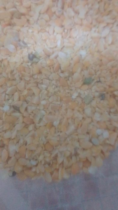 Зерноотходы Отруби Полова Овёс