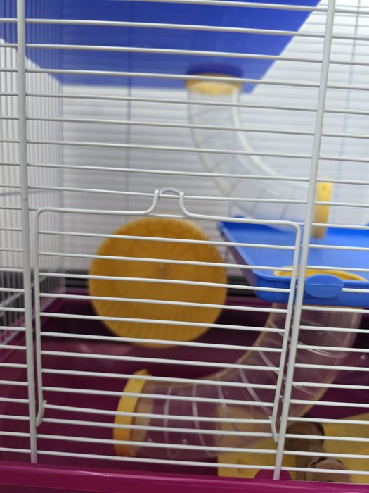 Cusca hamster cu tobogane si casuta