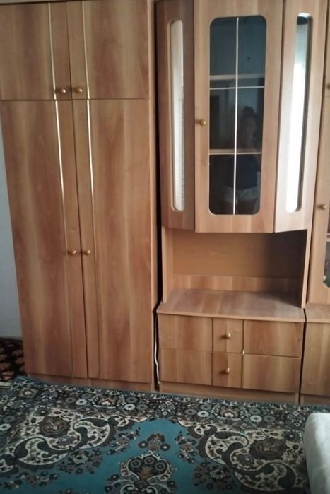 Se vinde casa in comuna Borcea