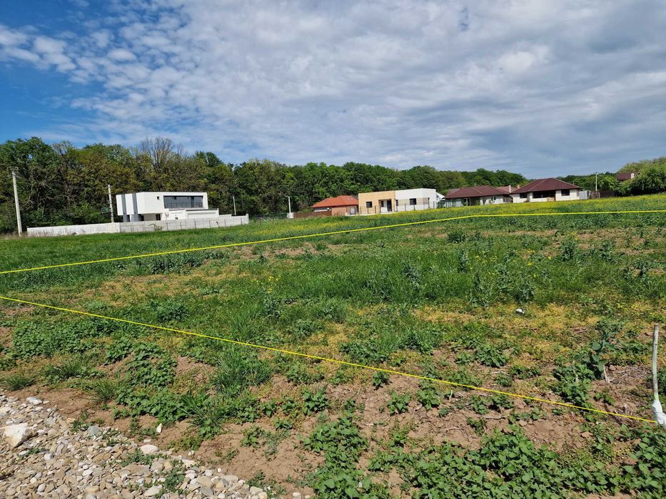 Teren Intravilan Padure | Balotesti | Dumbraveni | Edenland