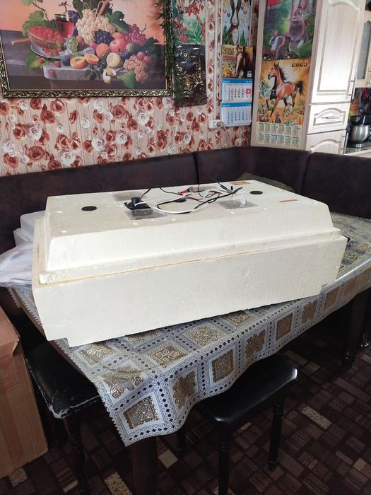 Инкубатор Золушка