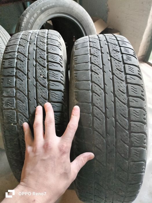 Шины продам не дорого