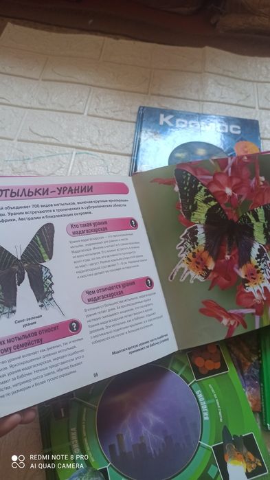 Книги энциклопедии в твердом переплете