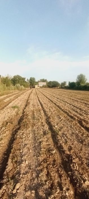 Turar joy Ozod dacha