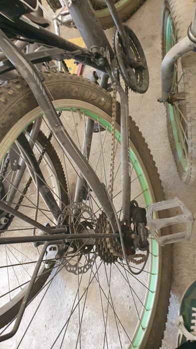 Скиллмакс велик тозза йангидей кам минилган