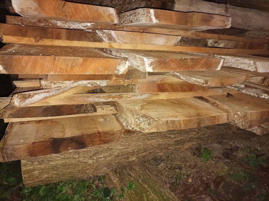 Lemn nuc pentru prelucrare masuta cafea si foastan taiat de nuc 5cm+-