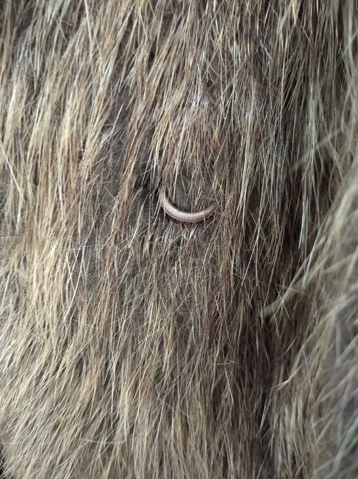 Продавам дамско палто